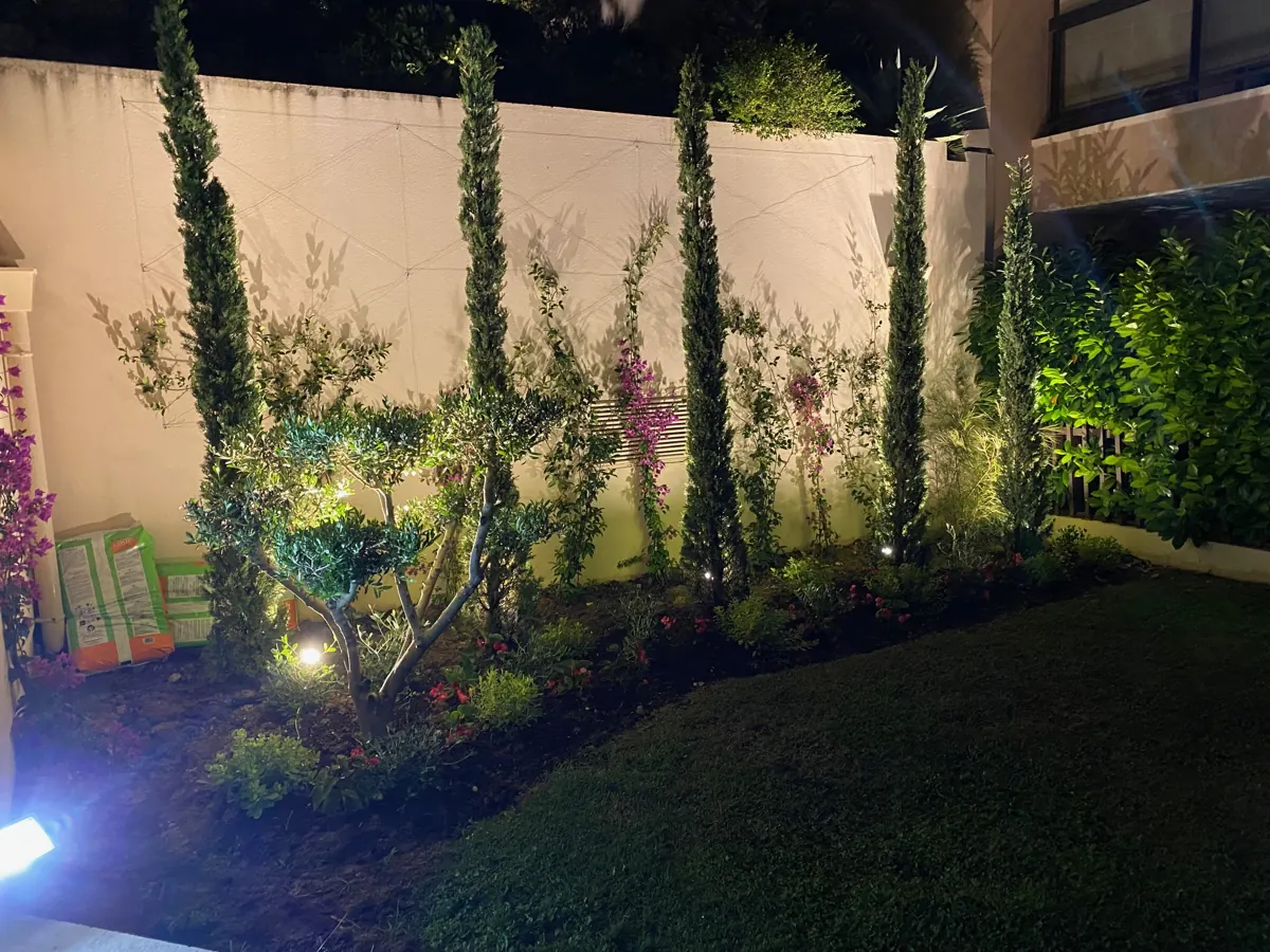 Cyprès et massifs éclairés dans un jardin de villa