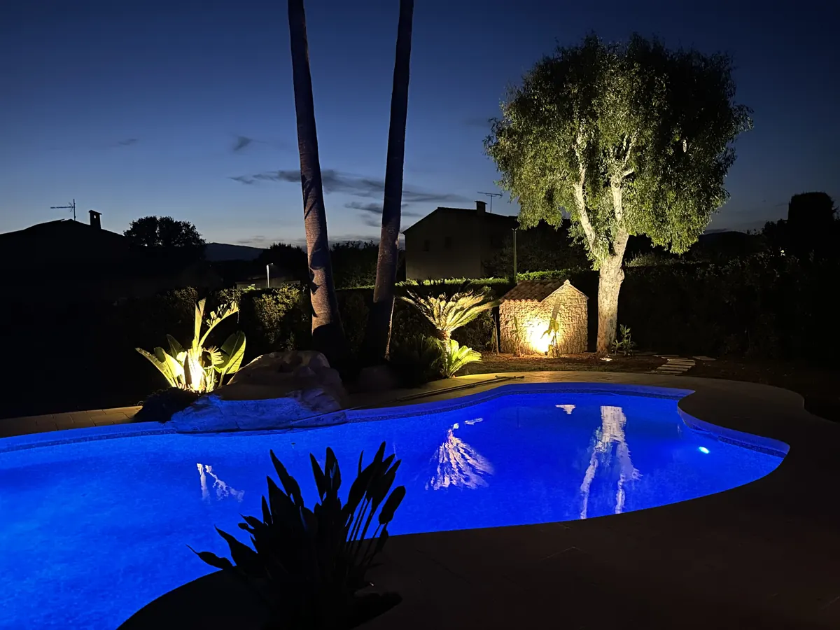 Piscine éclairée en bleu et olivier mis en lumière de nuit